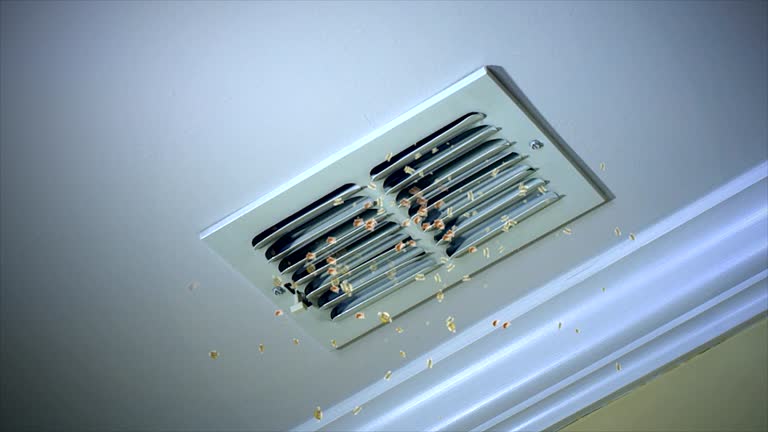 Best Professional Duct Cleaning Services  in Camas, WA